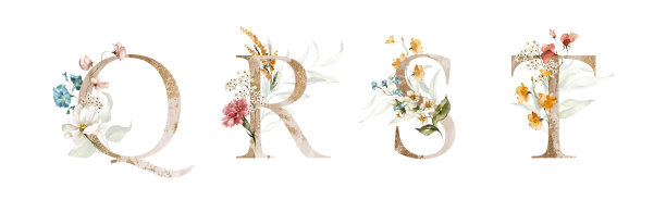 水彩金绿花字母集集合-字母Q, R, S, T与桃红粉色白色金色橙色蓝色黄色腮红植物花枝花束组成。图片下载