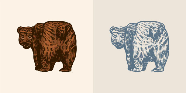 复古风格的灰熊。棕色的野生动物。侧视图。野兽回头看。手绘雕刻旧素描t恤，纹身或标签或海报。矢量插图。图片下载