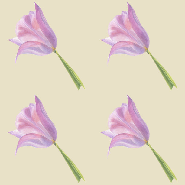 米色背景上粉红色郁金香的无缝图案图片下载