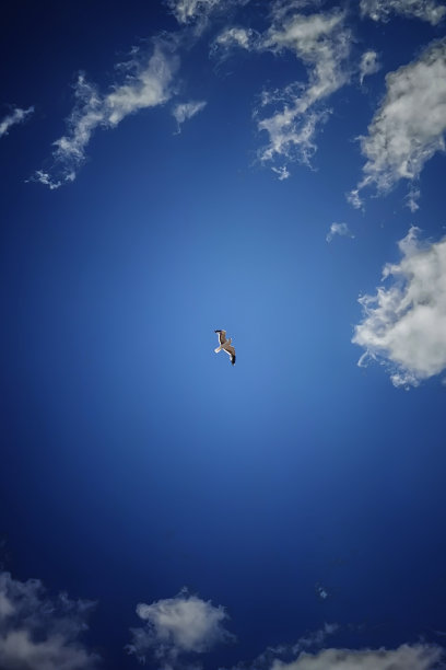 2022年苏格兰和英格兰图片下载