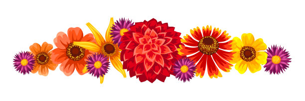 背景是美丽的秋花图片下载