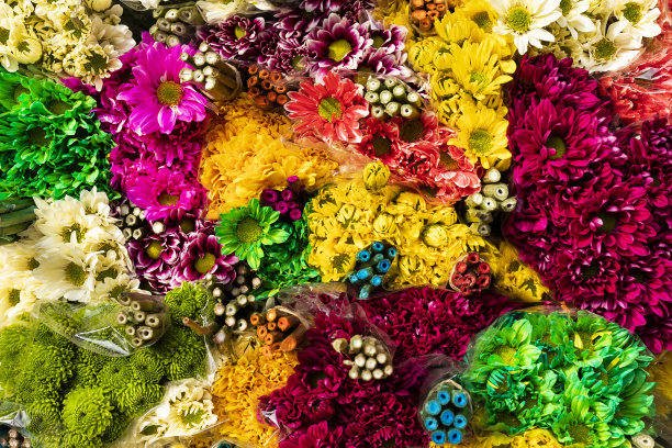 市场广场上五颜六色的异国情调的哥伦比亚花图片下载