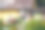 用各种紫罗兰矮牵牛花装饰的老房子花园图片下载