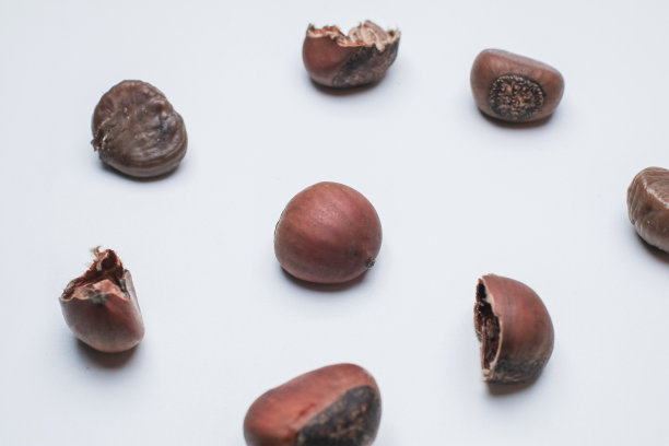 白底栗子。一堆准备烤的新鲜栗子。俯视图，复制空间。平的。空间的文本图片下载