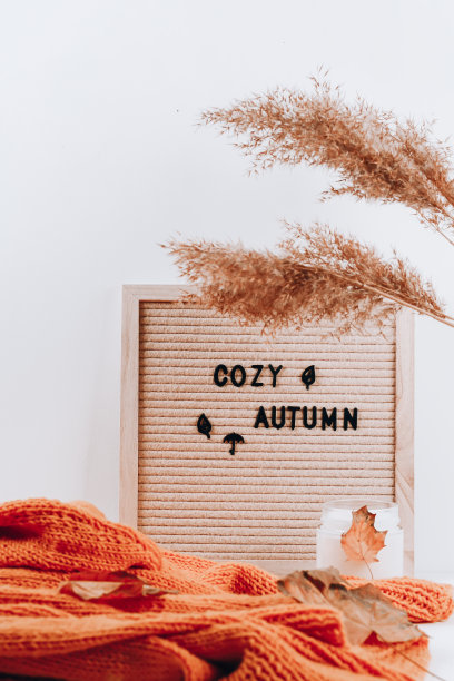 信板上的秋铭文。舒适的秋天。Hygge，秋天惬意的心情，舒适的概念图片下载