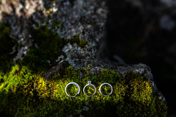 三个结婚戒指在绿色的冰岛苔藓上图片下载