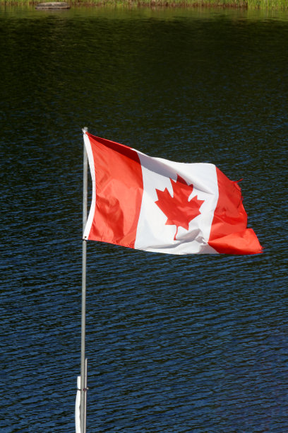 加拿大国旗在风中飘扬图片下载