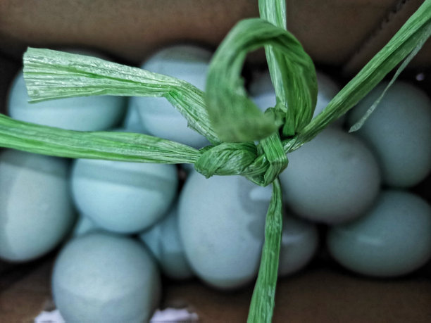 塑料绳子结图片下载