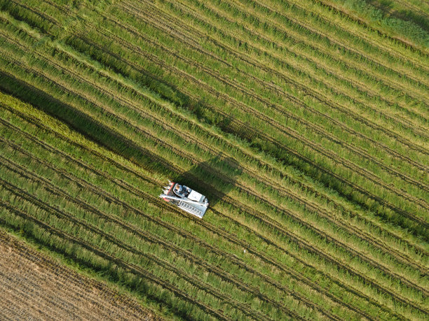 一架农业机械收割机正在收割水稻。图片下载