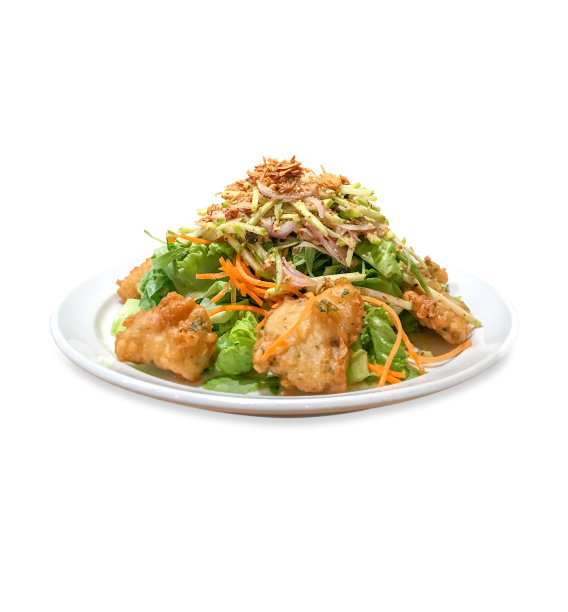 炸鱼配香辣香草沙拉，切成白色孤立图片下载