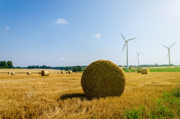 农村农业区收割后在麦田或干草甸上卷起干草捆。图片下载