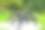 桌子适合需要轮椅的残疾人使用，户外休闲区，用回收材料建造而成，无需维护，用金属板放置烧烤而不损坏桌子。图片下载