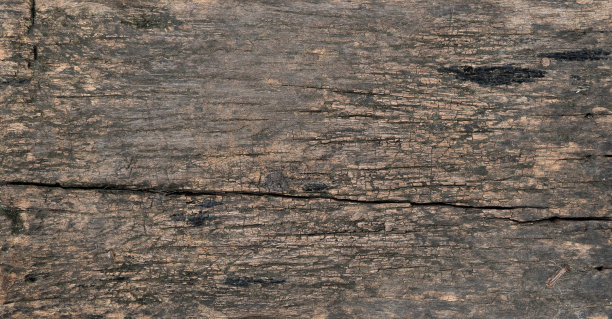 老木背景纹理图片下载