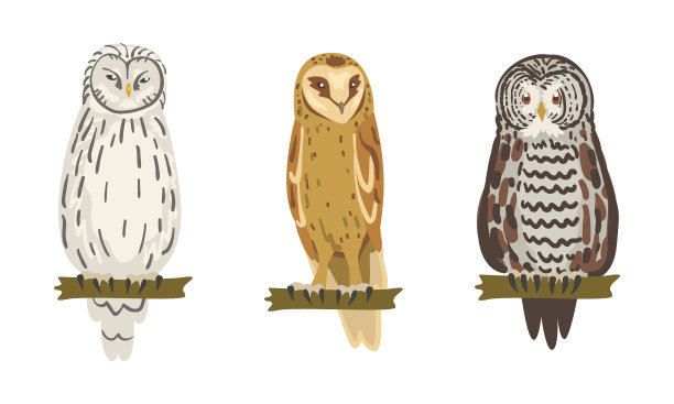 猫头鹰属夜行猛禽，与鹰同食图片下载