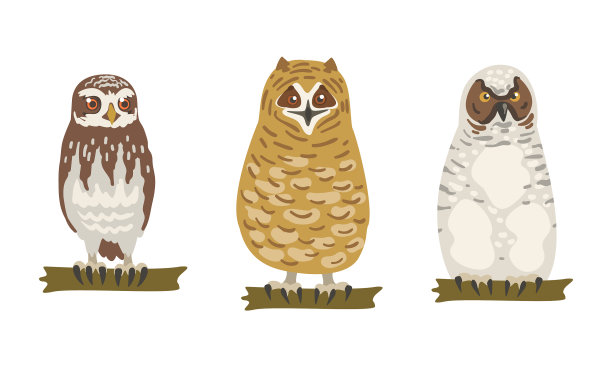 猫头鹰属夜行猛禽，与鹰同食图片下载