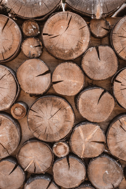 木材纹理背景有许多原木切割而成图片下载