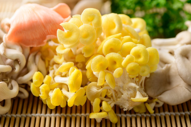 混合新鲜食用菌，有机食品配料图片下载