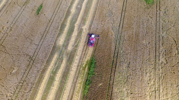 联合收割机在田野上收获的鸟瞰图。收割小麦。在田间工作的收割机。图片下载