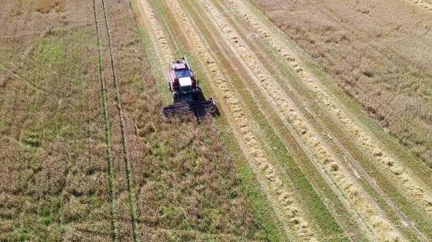 联合收割机在田野上收获的鸟瞰图。收割小麦。在田间工作的收割机。图片下载