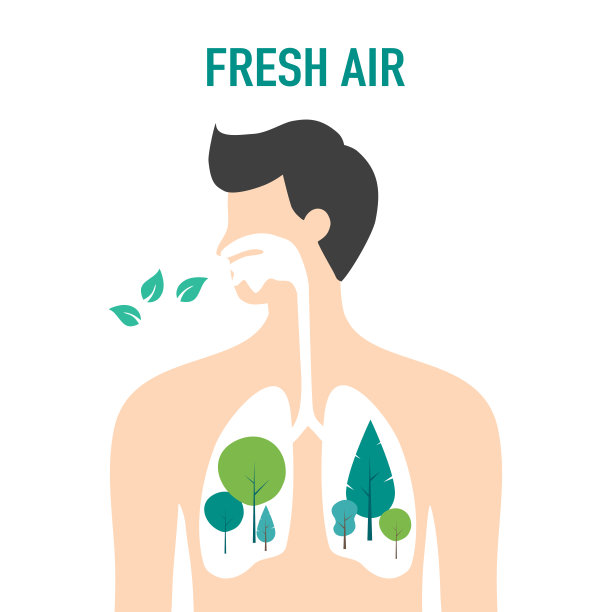 人类的肺呼吸新鲜空气概念矢量插图在白色背景。图片下载
