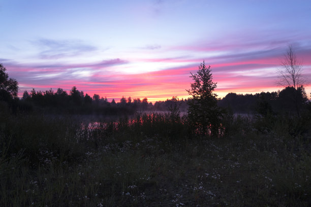 在晨雾中湖畔神奇的日出。树木和水的黑色剪影和色彩斑斓的倒影。美丽的黄昏天空自然景观。图片下载