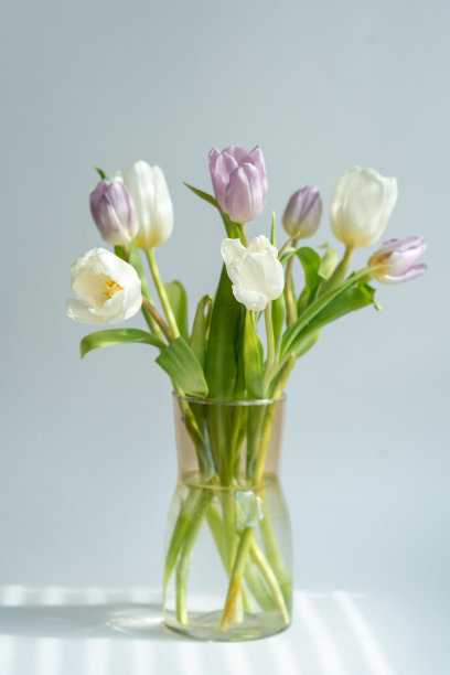 漂亮的郁金香插在玻璃花瓶里图片下载