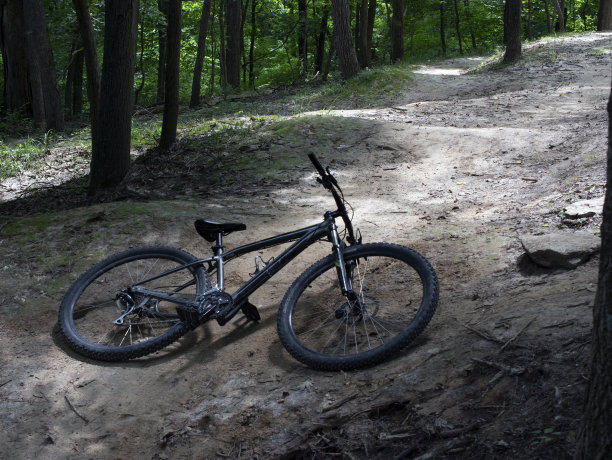 一辆山地车躺在森林里。图片下载