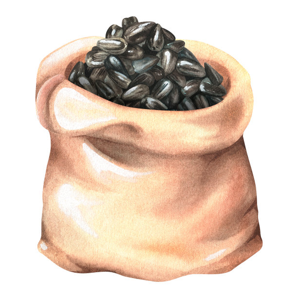 一袋葵花籽。水彩插图。孤立在白色背景上。为设计。图片下载