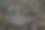 秋天，落叶散落在森林里图片下载