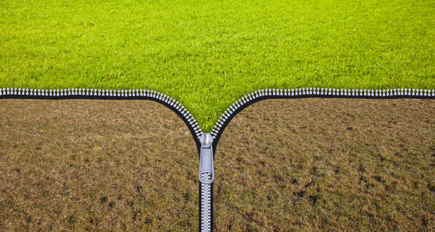 从干草甸到绿草甸图片下载