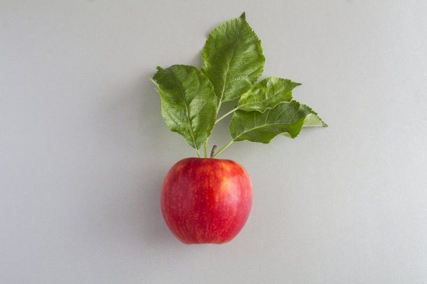 一个红苹果，灰色的背景上有绿叶。特写镜头。副本的空间。图片下载