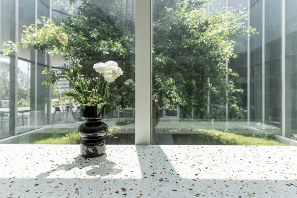 玻璃窗前的绿色植物和外面的树图片下载