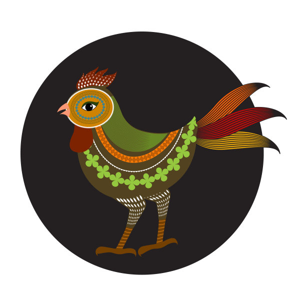 彩色公鸡插图或鸡图案图形画孤立在白色背景图片下载