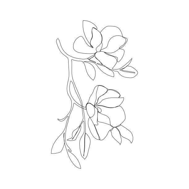 花朵在连续线艺术绘画风格。四周环绕着芬芳的热带花卉。极简的黑色直线素描在白色背景。矢量图图片下载
