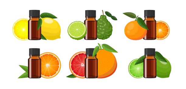 柑橘精油在棕色玻璃瓶，草药替代药物治疗产品，矢量插图在白色背景图片下载
