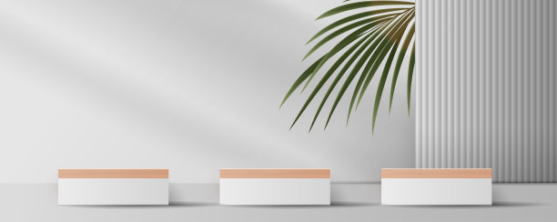 化妆品灰色背景和优质平台展示产品介绍，品牌和包装介绍。工作室阶段与阴影的树叶背景。矢量设计图片下载