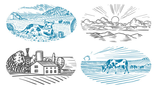 乡村草地。有奶牛、小山和农场的乡村景观。阳光明媚的乡村风景。手绘雕刻素描。复古质朴的横幅木制标志或徽章或标签。图片下载
