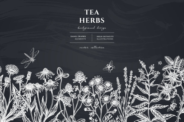 茶草药手绘设计图片下载