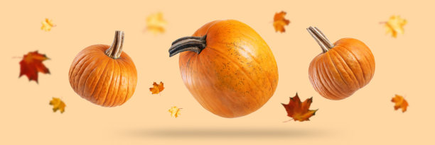 秋季南瓜橙背景图片下载