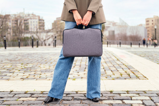 拿着公文包的陌生女商人图片下载