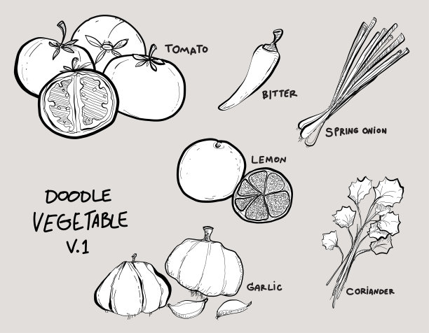 手绘蔬菜的集合，插图手绘蔬菜的轮廓(平面风格，细线)。
矢量插图在复古风格。黑色和白色图片下载