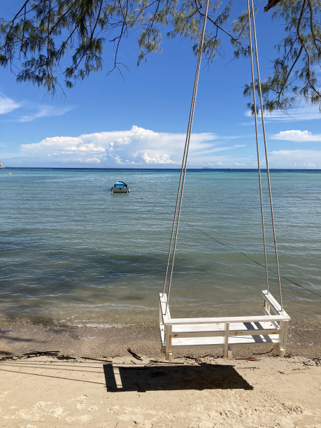 海滩上的大树下悬挂着复古的秋千。图片下载