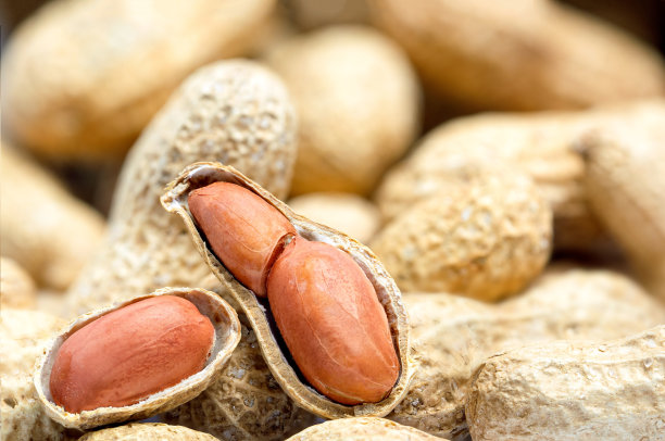 花生酱和花生豆图片下载