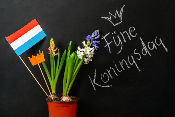 国王节是荷兰王国的一个全国性节日。黑板上画着橙色和荷兰国旗图片下载