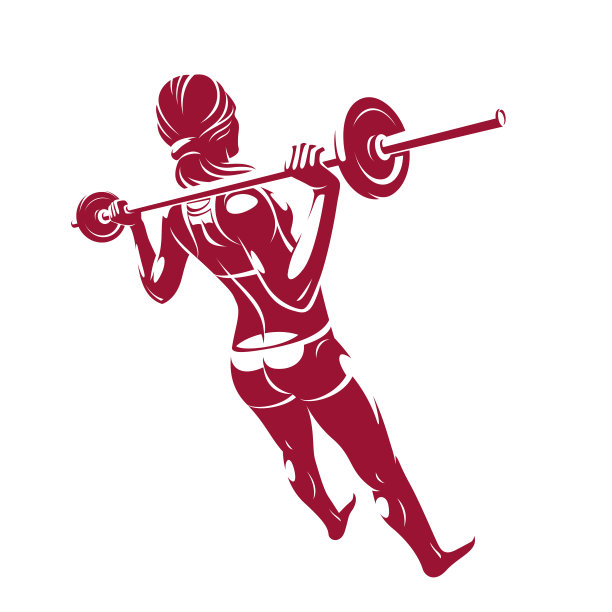 年轻迷人的女人完美的肌肉身体训练与杠铃矢量插图隔离，运动锻炼积极的生活方式。图片下载