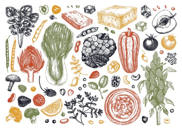 素食插画套装图片下载