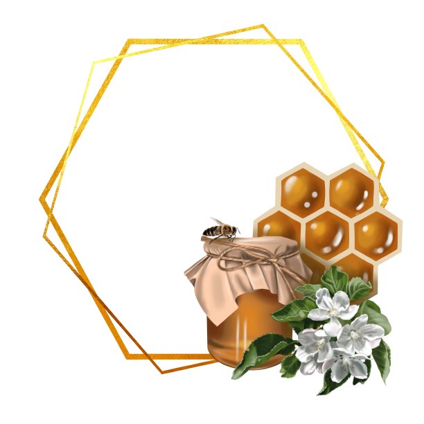 水彩框架。蜂巢，蜜蜂，花朵，蜂蜜和蜂箱。现实的例子图片下载