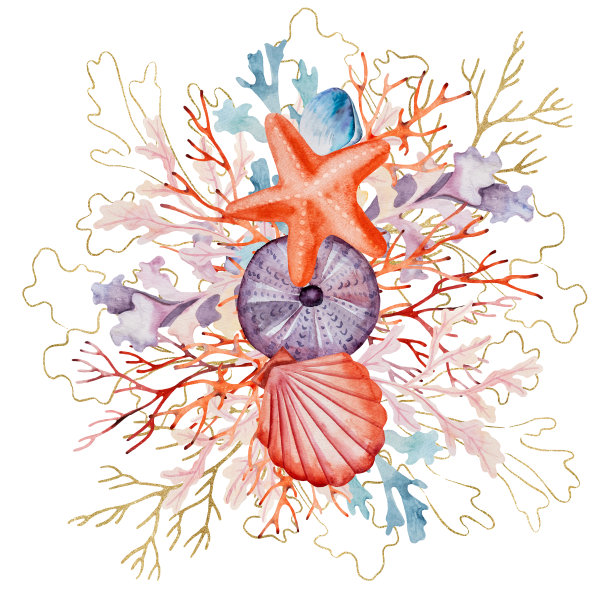 安排从水彩和金色的海藻和贝壳，海滩婚礼插图图片下载