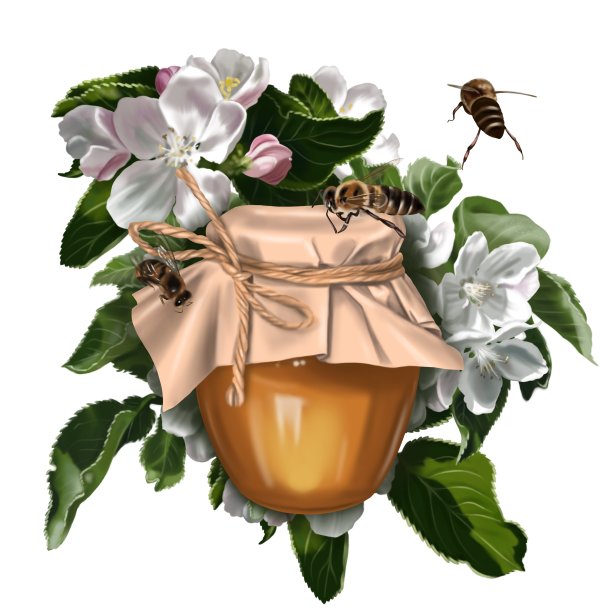 蜂蜜成分。蜂蜜，花，蜂巢和蜜蜂的水彩现实插图图片下载