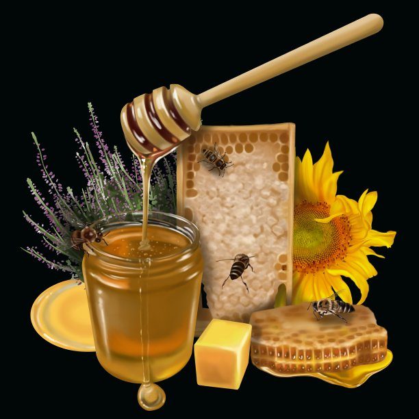 蜂蜜成分。蜂蜜，花，蜂巢和蜜蜂的水彩现实插图图片下载